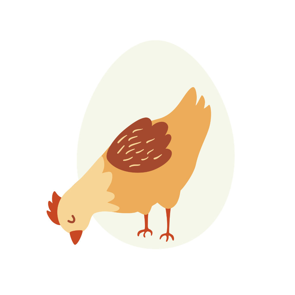 Chicken Math icon